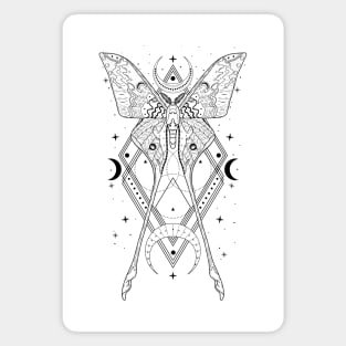 Chinese Luna Moth - Actias Dubernardi Magnet